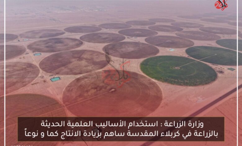 وزارة الزراعة : استخدام الأساليب العلمية الحديثة بالزراعة في كربلاء المقدسة ساهم بزيادة الانتاج كما و نوعاً