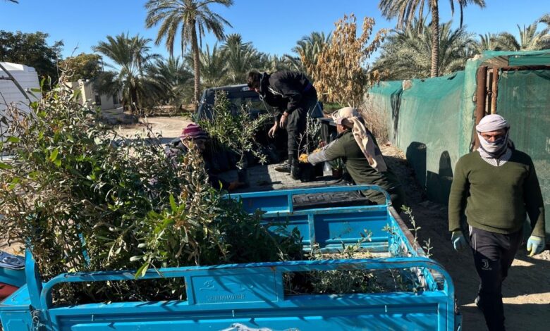 جمعية نحالي كربلاء التخصصية تستلم عدد من الأشجار الرحيقية والمثمرة لزراعتها بأماكن مختلفة في المحافظة