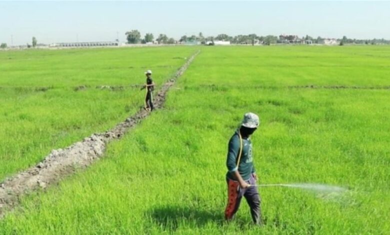وزارة الزراعة توافق على تجديد عقود فلاحي بابل